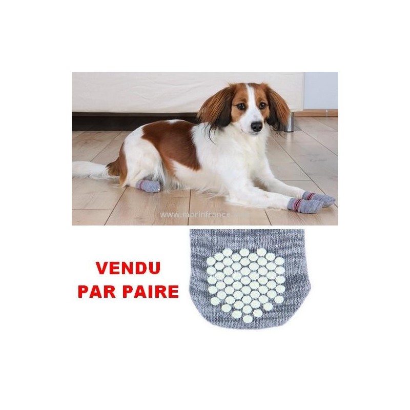 Chaussettes pour chien avec pastilles anti dérapantes Taille : XS / S