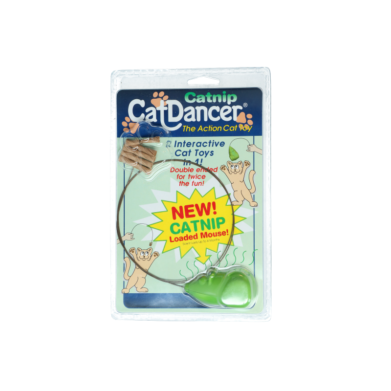 Chat danseur Cataire Chat danseur