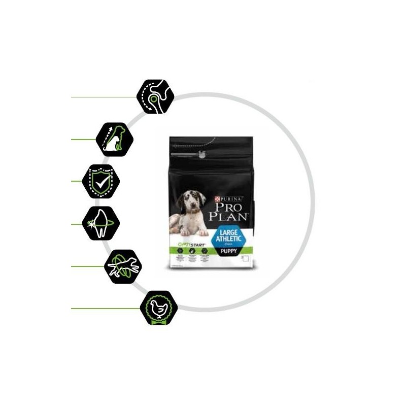 Pro Plan Puppy Large Athletic 12kg