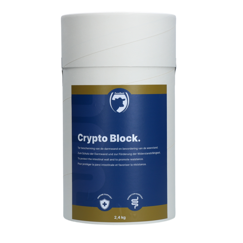 Excellent bloc cryptographique de 2,4 kg