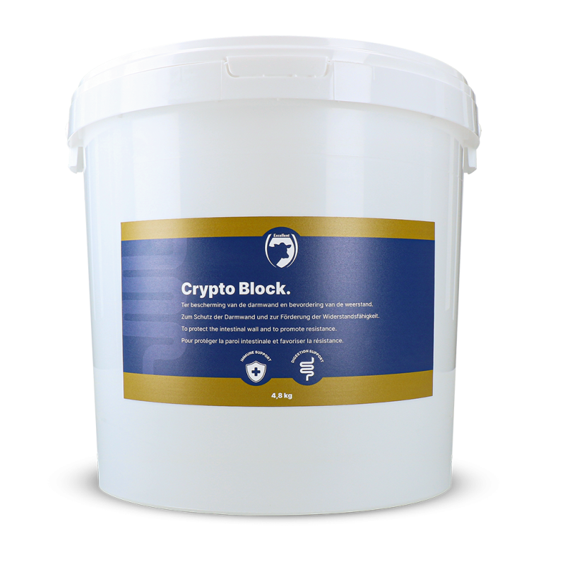 Excellent bloc cryptographique de 4,8 kg