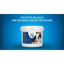 Excellent bloc cryptographique de 4,8 kg