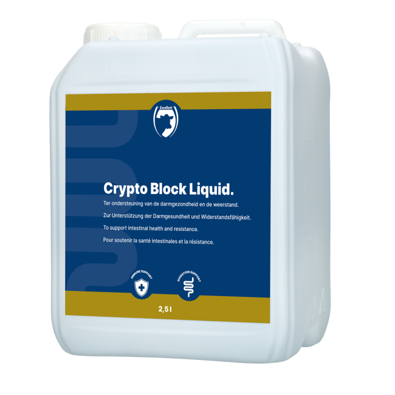 Excellent Crypto Block Liquide 2,5L