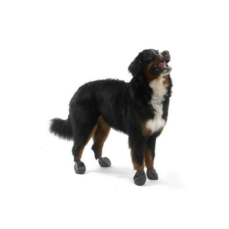 Bottine / chaussettes de protection pour chien - PAWZ taille S