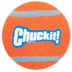 Balle de tennis Chuckit! S (lot de 2)