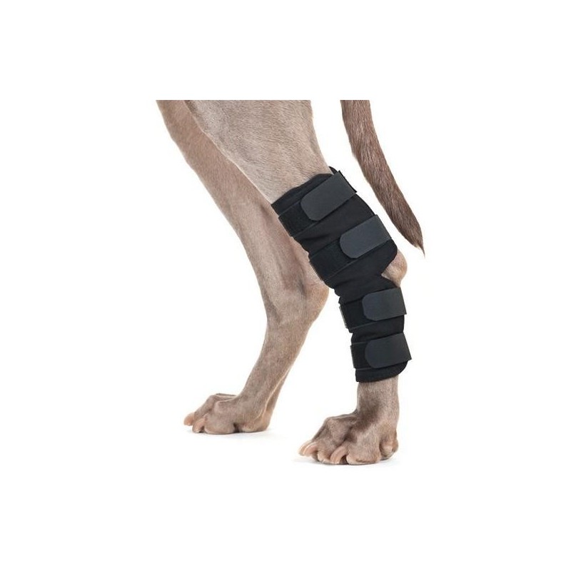 Protège jarret pour chien en tissu thérapeutique Taille : S