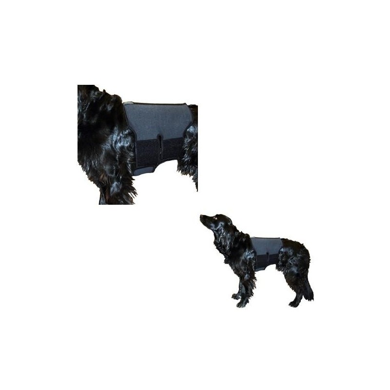 Ceinture lombaire pour chien en tissu thérapeutique Taille : S