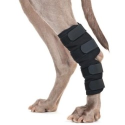 Protège jarret pour chien...