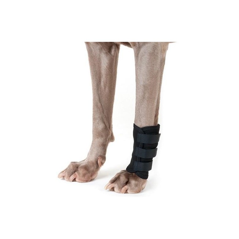 Guêtre antérieure en tissu thérapeutique Taille : L ( Largeur 18 cm. Hauteur 14 cm )