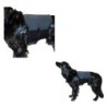 Ceinture lombaire pour chien en tissu thérapeutique Taille : M