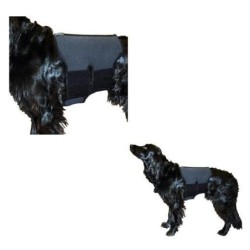 Ceinture lombaire pour...