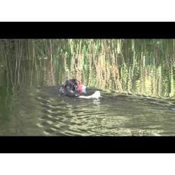 Chuckit! Pare-chocs amphibie M