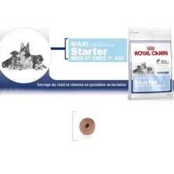 Maxi Starter - Royal Canin...