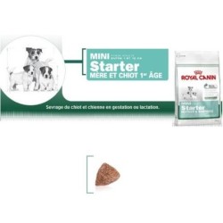 Mini Starter - Royal Canin 4kg