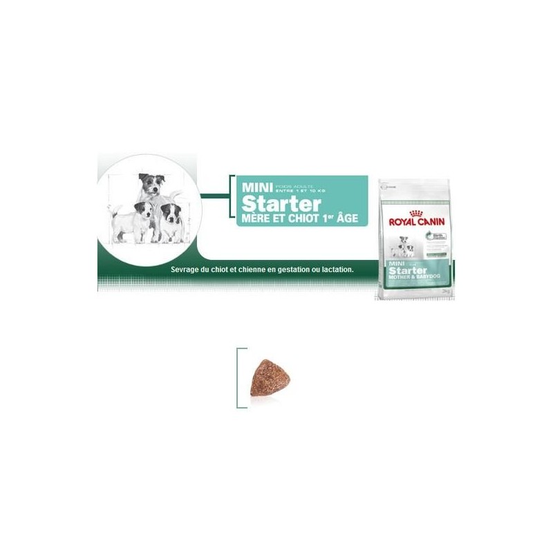 Mini Starter - Royal Canin 4kg