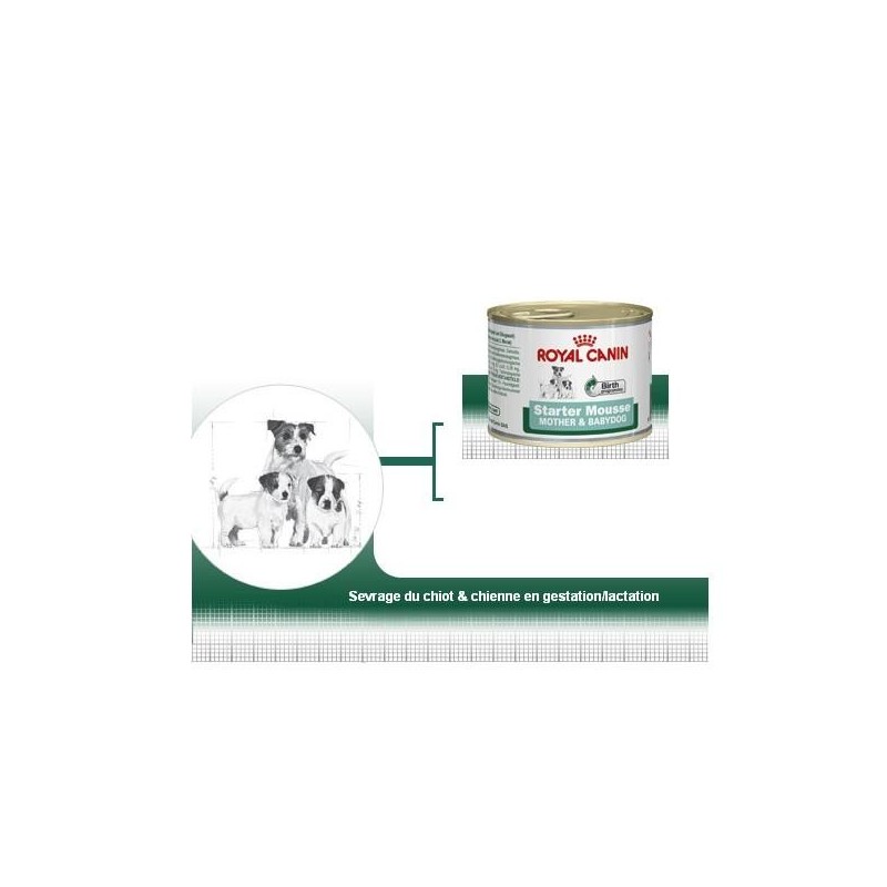 Wet Starter Mousse - Royal Canin 195g