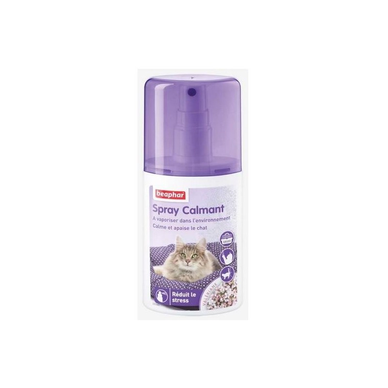 Spray calmant pour chat