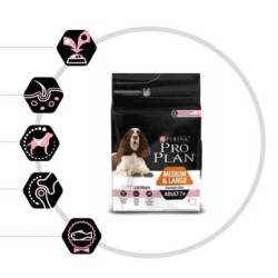 Pro Plan Medium & Large...