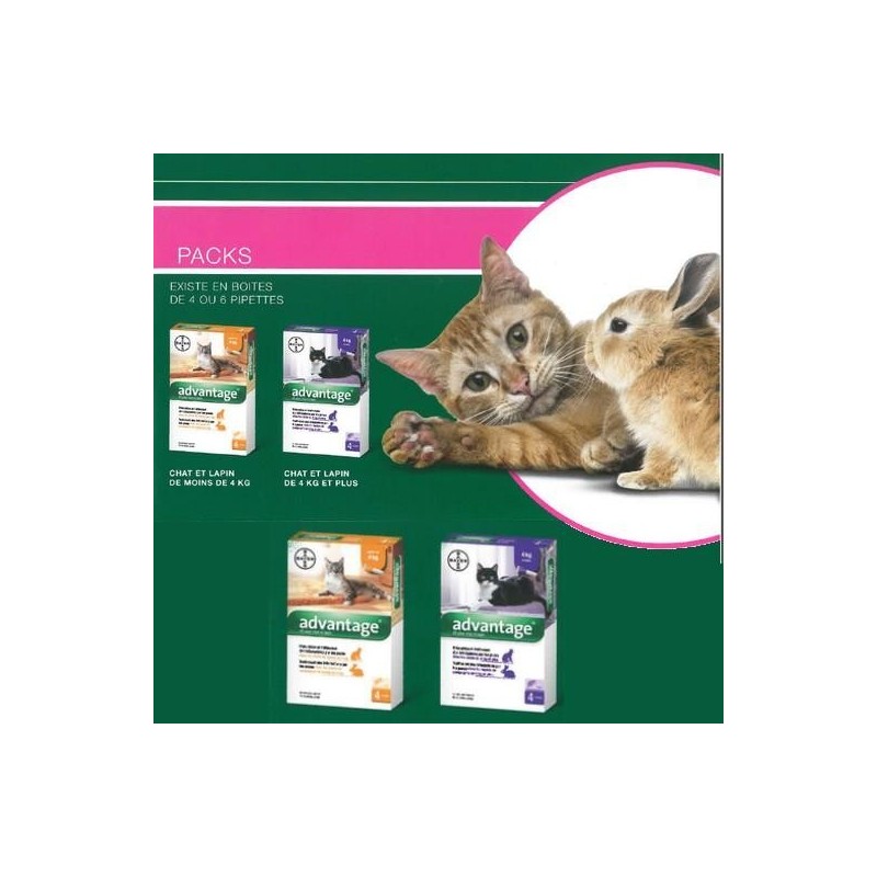 Advantage, traitement anti puces pour chat  Advantage 40 - 4 pipettes de 0.4 ml Pour chat et lapin de moins de 4 kg