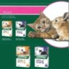 Advantage, traitement anti puces pour chat  Advantage 40 - 4 pipettes de 0.4 ml Pour chat et lapin de moins de 4 kg