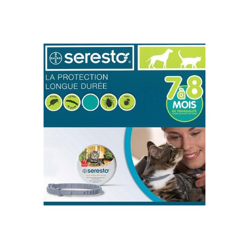 Seresto, collier anti parasitaire pour chat