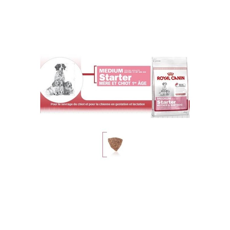 Medium Starter - Royal Canin 15kg