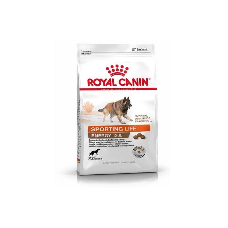Energy 4300 - Royal Canin 15kg