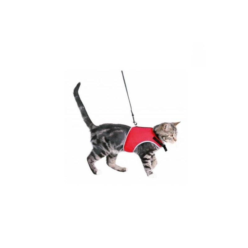 Harnais soft avec laisse pour chat Taille : 36-54 cm (tour de ventre)
