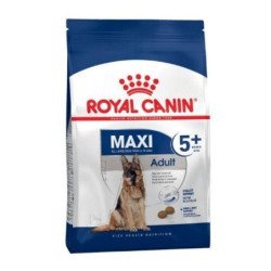 Maxi Adult 5+  Royal Canin....