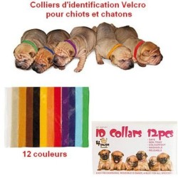 Collier identification...