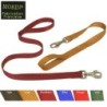 Laisse nylon pour chien et chiot. 1.50 m x 12 mm Laisse Rouge
