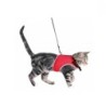 Harnais soft avec laisse pour chat Taille : 24 x 42 cm (tour de ventre)