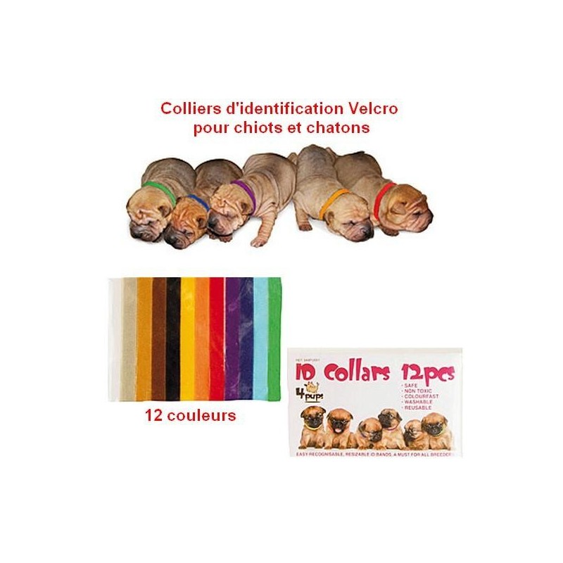 Collier identification Velcro pour chiots et chatons  5 lots de 12 colliers (soit 60 colliers)
