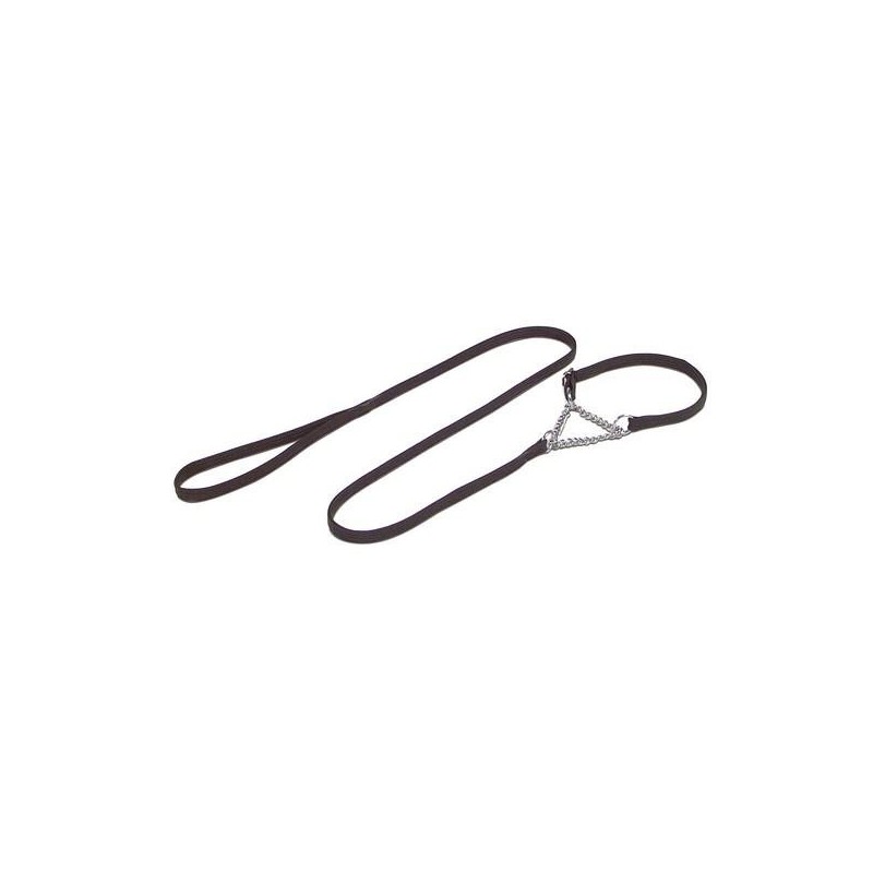 Laisse de présentation avec collier semi-étrangleur avec chaîne  Laisse 10 mm