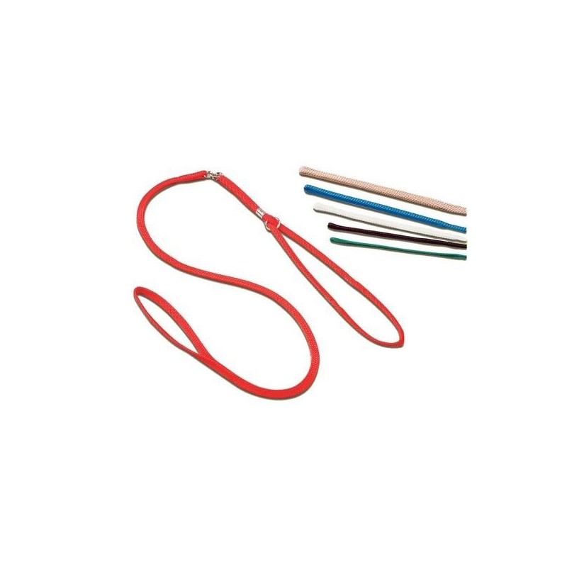 Laisse collier de présentation du chien Laisse 3 mm Noir