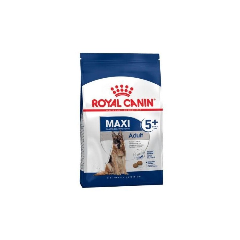 Maxi Adult 5+  Royal Canin. Croquettes chien adulte de grande taille. 15kg