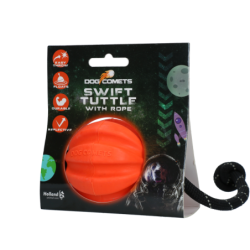 Chien Comètes Swift Tuttle...