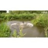 Chien Comètes Vert Poussière d'Étoile S