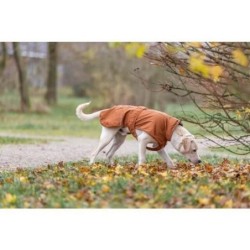 Manteau imperméable CityStyle - Marron S: 40 cm