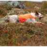Veste de chasse pour chien PROTECTOR COVER / NON-STOP Dogwear  Taille : L