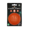 Chien Comètes Exoplanète Spiky Ball M Orange