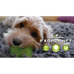 Chien Comètes Exoplanète Spiky Ball M Orange