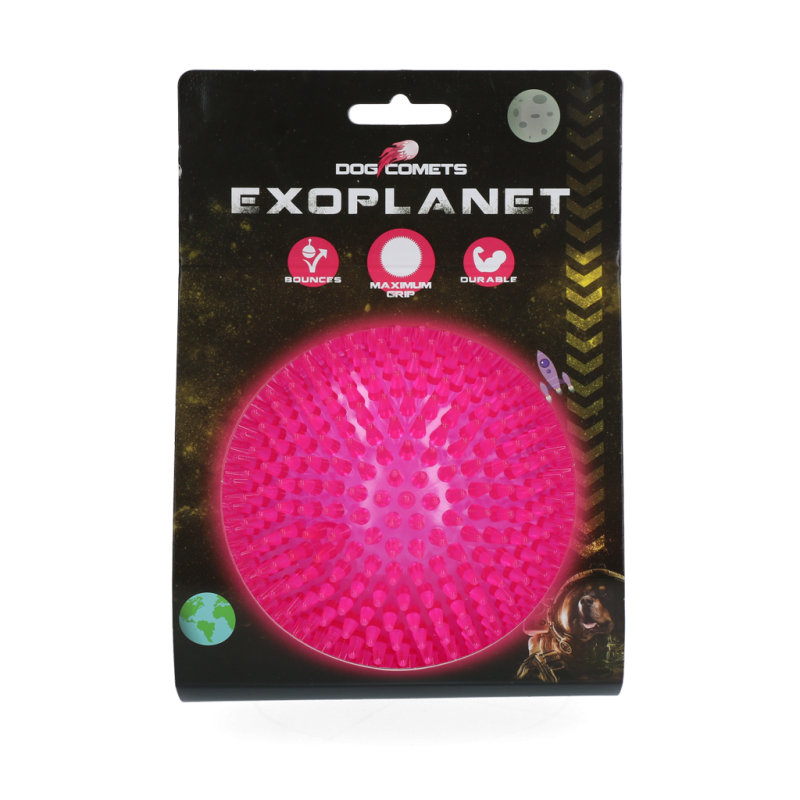 Balle à picots exoplanètes pour chien Comètes L Rose