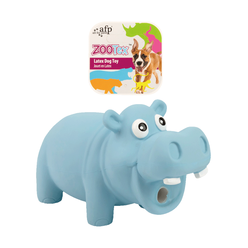 AFP ZooTex Hector l'hippopotame - S