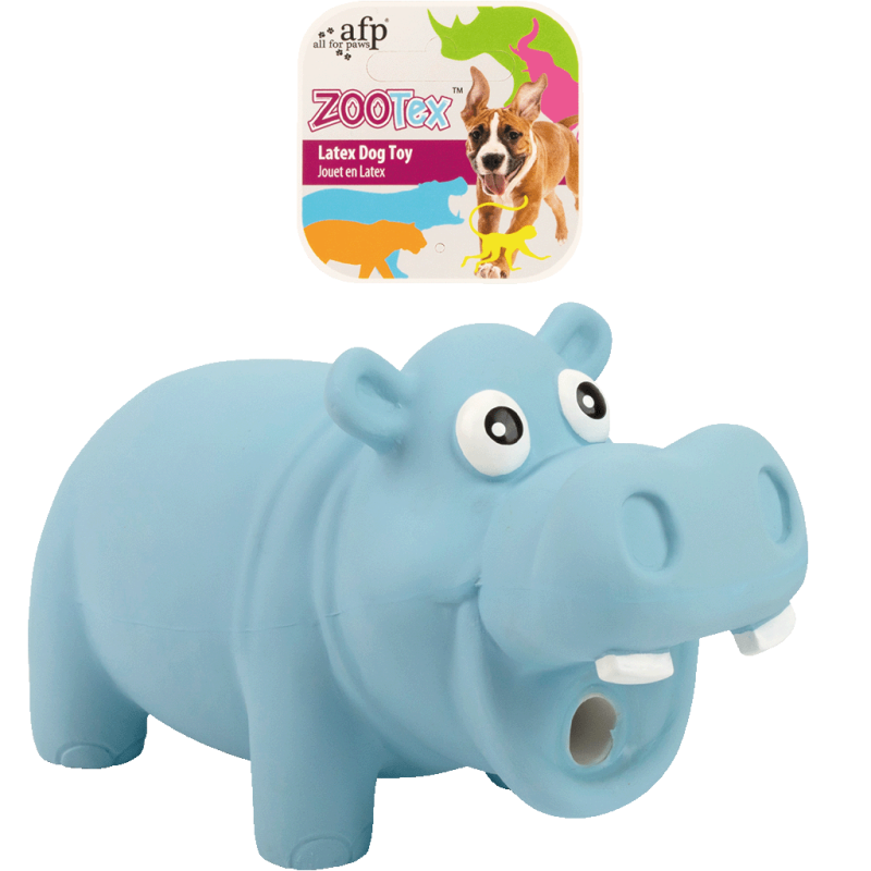 AFP ZooTex Hector l'hippopotame - L