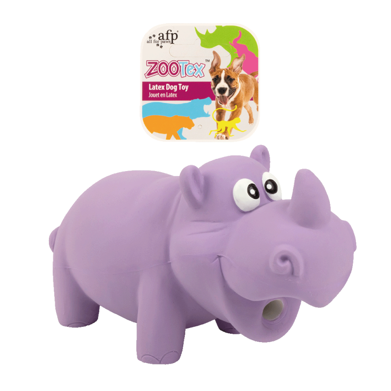AFP ZooTex Reginald le rhinocéros - S