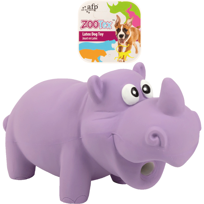 AFP ZooTex Reginald le rhinocéros - L