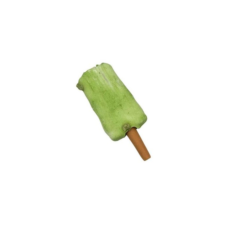 Bâtonnets Glacés Ice Pop vert