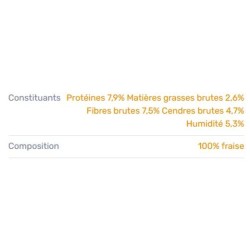 Friandise Lyophilisée Kiwi Walker aux FRAISES 25g