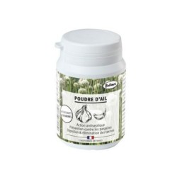 Poudre d’ail - Bubimex 60g